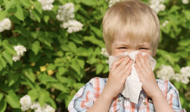 花粉症とアレルギーに対するオステオパシーの整体１